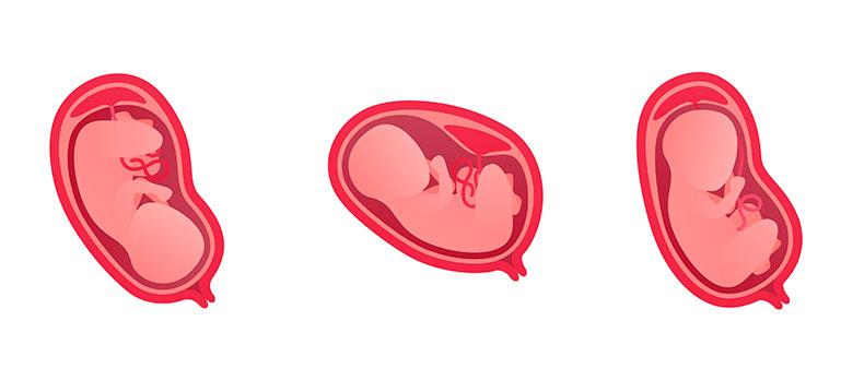 bébé est en siège